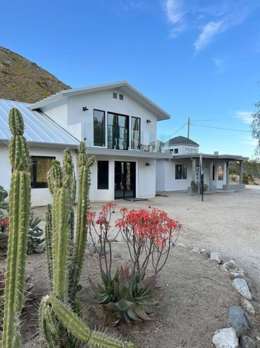 Two Pepper Ranch - A Desert Oasis Morongo Valley Exteriér fotografie